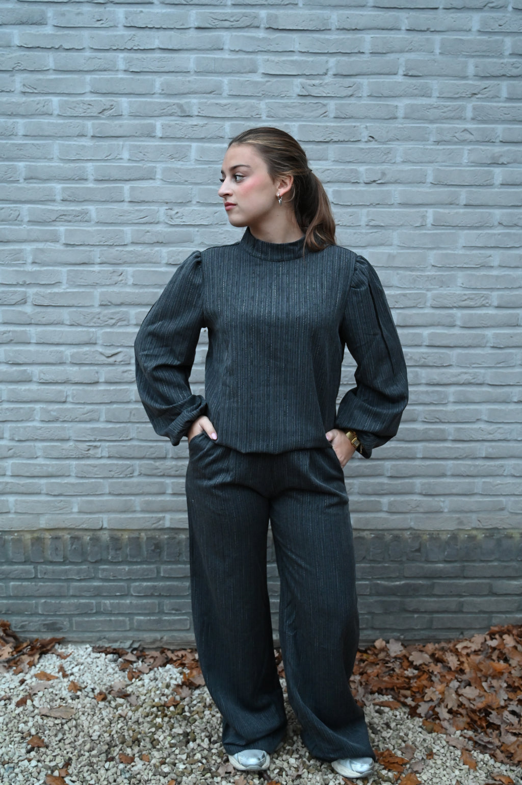 Elegant Grey Suit: pants