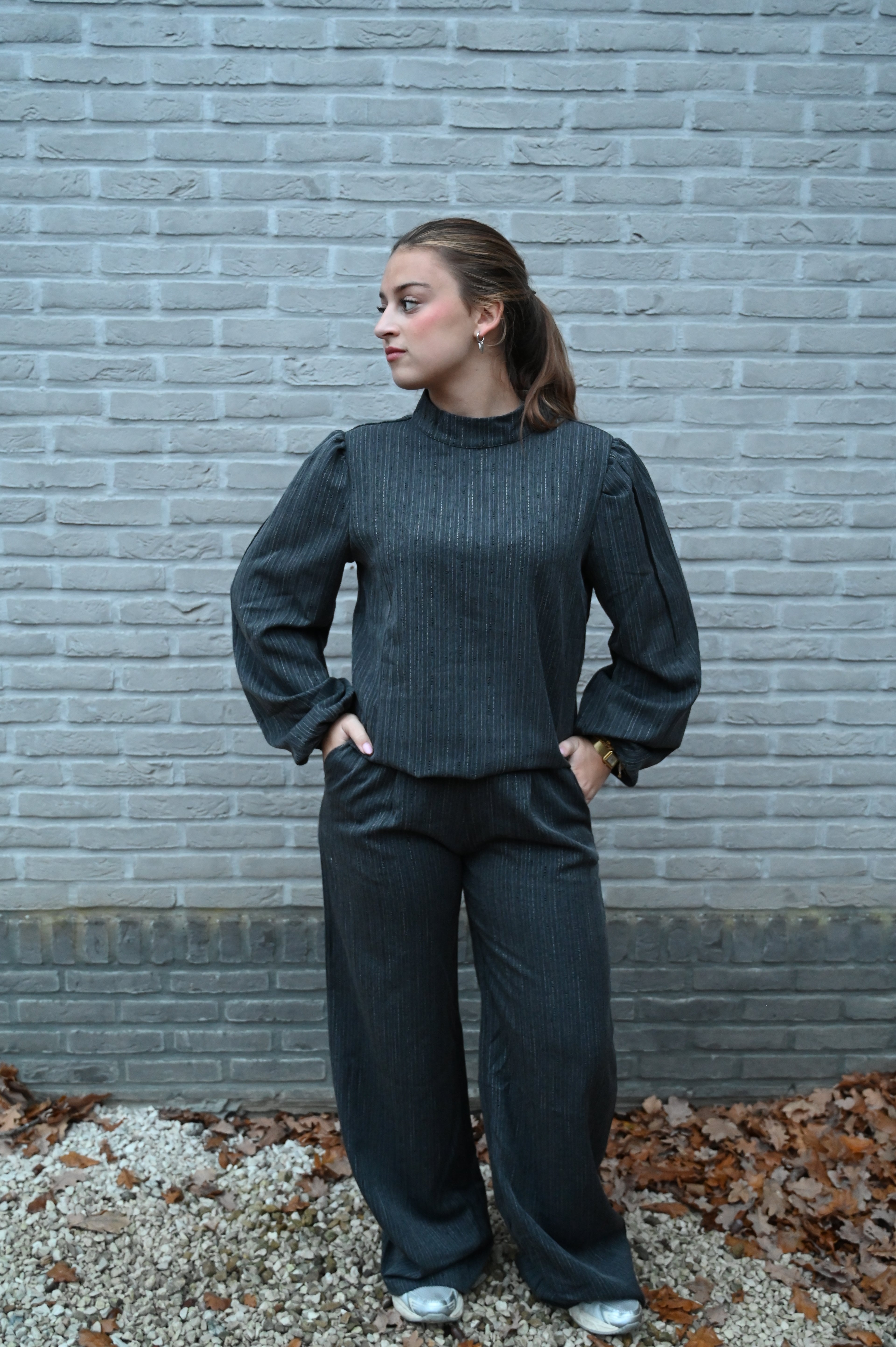 Elegant Grey Suit: pants