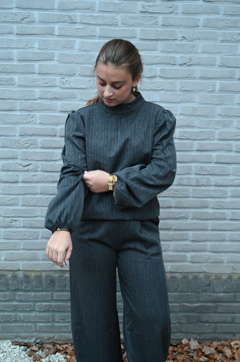 Elegant Grey Suit: blouse